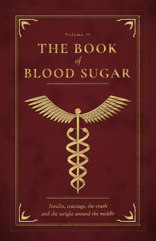 The Book of Blood Sugar, leather-bound cover